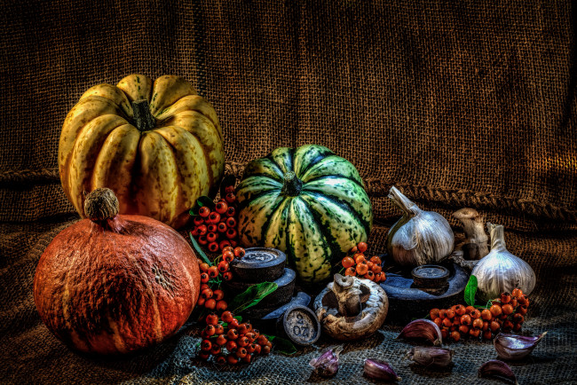 Обои картинки фото еда, фрукты и овощи вместе, тыква, чеснок, рябина, гриб