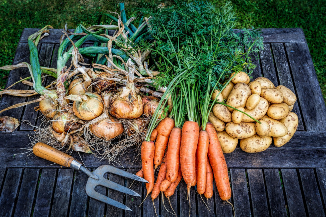 Обои картинки фото еда, овощи, лук, морковь, картошка
