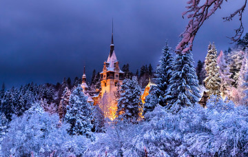 Картинка города -+дворцы +замки +крепости синая замок пелеш зима румыния вечер лес