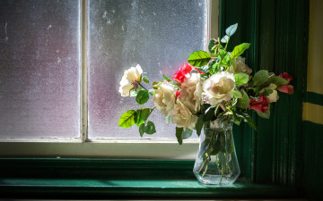 Картинка цветы розы букет ваза окно