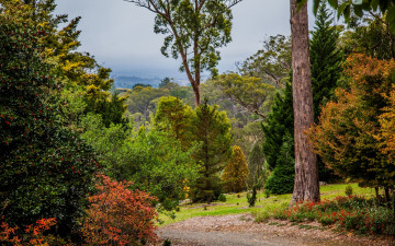 Картинка природа парк кусты деревья тропинка австралия