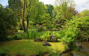Картинка природа парк кусты камни трава пруд лето солнце деревья зелень