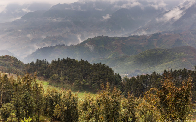 Обои картинки фото природа, горы, вьетнам, панорама, поля, туман, деревья, лес, sa, pa, плантации