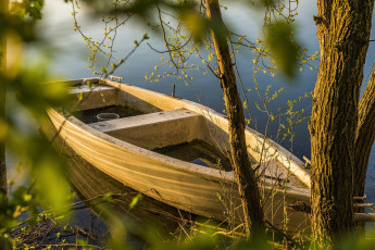 Картинка корабли лодки +шлюпки деревья лодка река