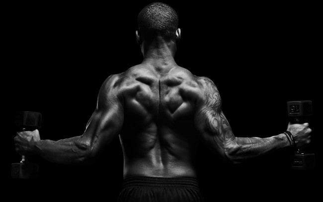 Обои картинки фото спорт, body building, мужчина, гантели, спина, татуировка