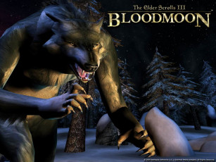 Картинка the elder scrolls iii bloodmoon видео игры