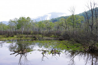 Картинка природа реки озера деревья горы вода
