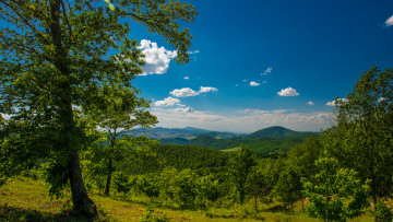 Картинка природа деревья пейзаж панорама долина горы