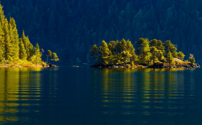 Обои картинки фото cowichan, lake, vancouver, island, british, columbia, canada, природа, реки, озера, деревья, остров, ванкувер, лес, островок, канада, озеро, кауичан, вода