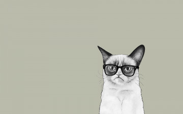 Картинка рисованные минимализм очки grumpy cat сердитый кот