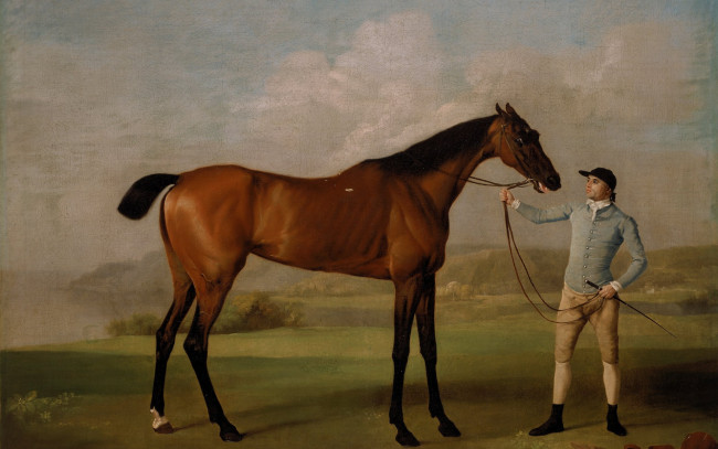 Обои картинки фото рисованное, живопись, молли, длинные, ноги-жокей, 1761-62, лошадь, картина, стаббс, скаковая, портрет