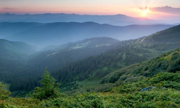 Картинка природа пейзажи рассвет карпаты украина утро туман горы лес