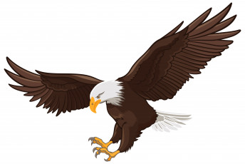 Картинка рисованное животные +птицы +орлы орел