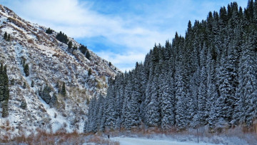 Картинка природа горы гора возвышенность снег ель зима