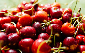 Картинка еда вишня +черешня макро много черешня боке плодоножки урожай крупная ягоды изобилие блеск