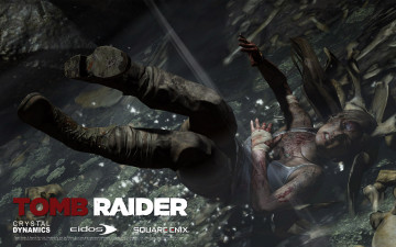 Картинка tomb raider lara croft reborn видео игры 2013 падение
