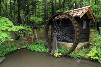 Картинка разное мельницы мельница вода лес