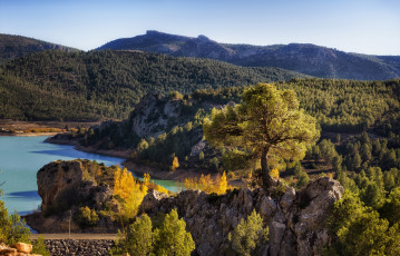 Картинка испания природа побережье деревья холмы водоем