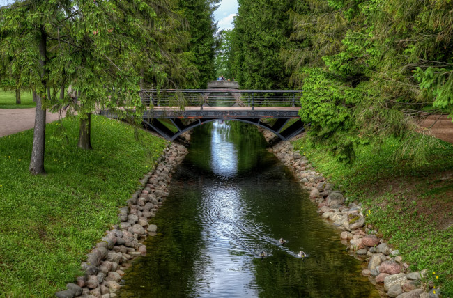 Обои картинки фото с-петербург, природа, парк, водоем, мост, трава, деревья