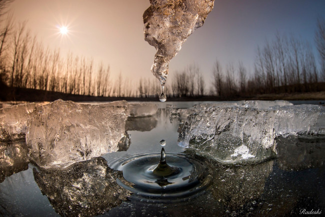 Обои картинки фото природа, макро, весна, солнце, лёд, капля, вода