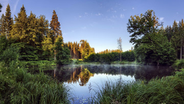 Картинка природа реки озера осень пруд туман