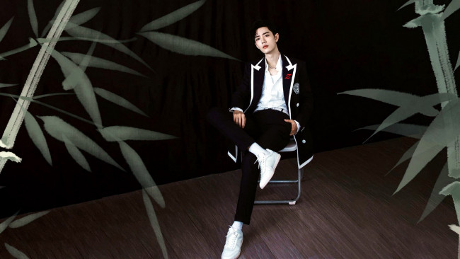 Обои картинки фото мужчины, xiao zhan, актер, стул, бамбук