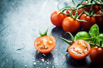 Картинка еда помидоры спелые красные базилик