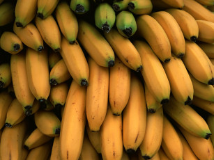 обоя еда, бананы