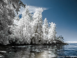 Картинка природа зима озеро деревья