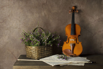 обоя музыка, -музыкальные инструменты, скрипка, ноты, корзина, цветы