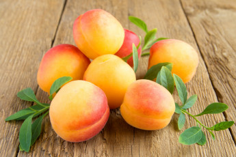 Картинка еда персики +сливы +абрикосы apricot фрукты абрикосы