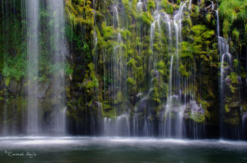 Картинка природа водопады растения лес джунгли