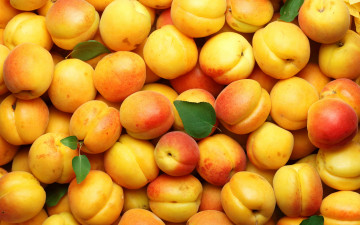 Картинка еда персики +сливы +абрикосы фрукты apricot абрикосы