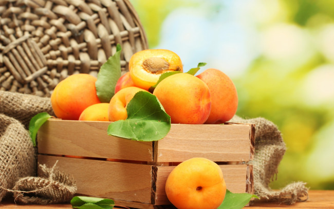 Обои картинки фото еда, персики,  сливы,  абрикосы, apricot, фрукты, абрикосы