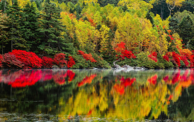 Обои картинки фото природа, реки, озера, пейзаж, леса, деревья, осень, озеро
