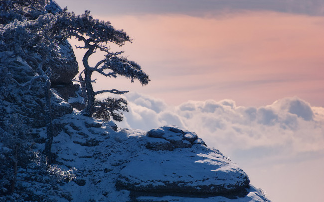 Обои картинки фото природа, зима, крым, облака, сосны, снег, горы