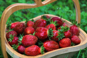 Картинка еда клубника +земляника витамины красота ягоды природа лето вкусно дача