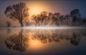 Картинка природа восходы закаты деревья отражение водоем
