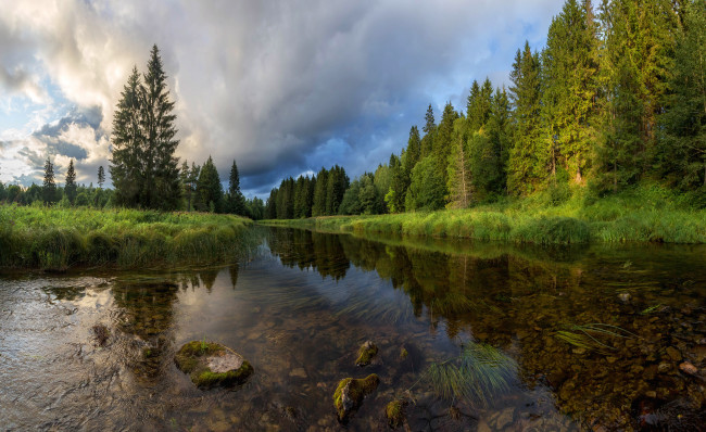 Обои картинки фото природа, реки, озера, деревья, река, лето, лес, пейзаж