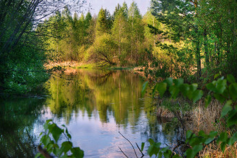 Картинка природа реки озера вода