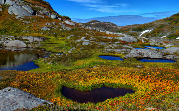 Картинка природа горы растения камни озеро пруд вода