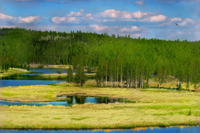 Обои картинки фото природа, реки, озера, лес