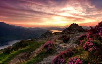 Картинка природа восходы закаты зарево небо цветы камни трава возвышенность горы река шотландия trossachs national park