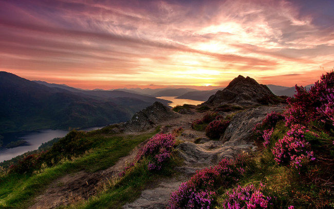 Обои картинки фото природа, восходы, закаты, зарево, небо, цветы, камни, трава, возвышенность, горы, река, шотландия, trossachs, national, park