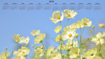 обоя календари, цветы, лепестки