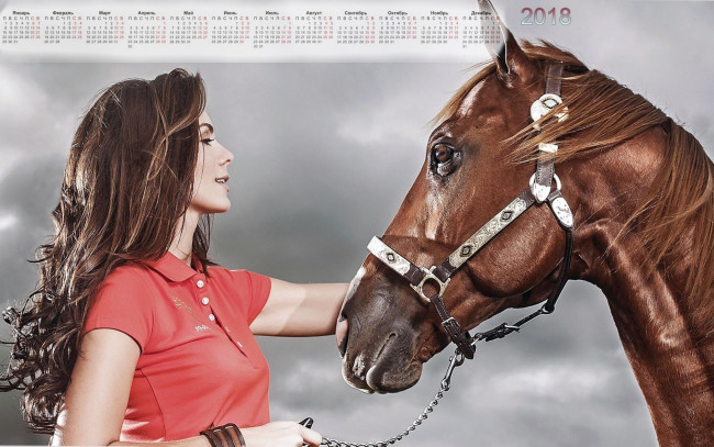 Обои картинки фото календари, девушки, лошадь