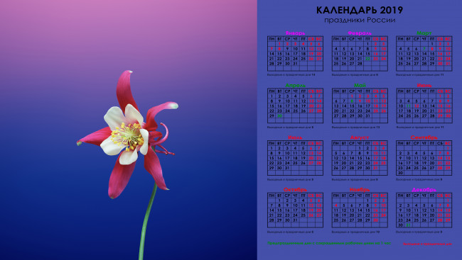 Обои картинки фото календари, цветы, цветок