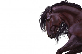 Картинка рисованное животные +лошади конь