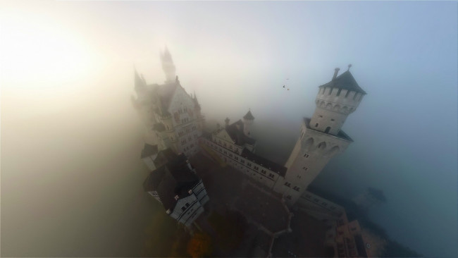 Обои картинки фото города, замок нойшванштайн , германия, замок, осень, ракурс, туман