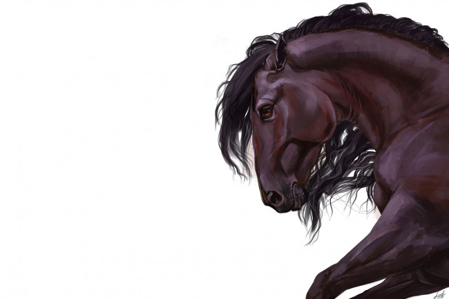 Обои картинки фото рисованное, животные,  лошади, конь